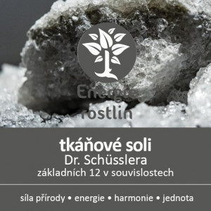 Kurz Schüsslerovy soli u Energie rostlin