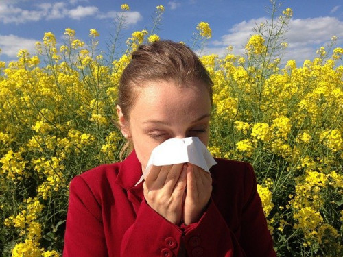 Jarní alergie